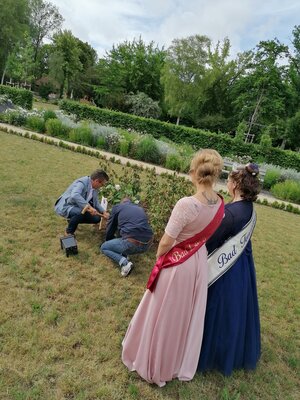 Foto des Albums: Pflanzung der 'Novalis-Rose' am 20.06.2022 anlässlich der Novalis-Festwoche in Bad Tennstedt