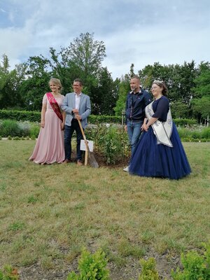 Foto des Albums: Pflanzung der 'Novalis-Rose' am 20.06.2022 anlässlich der Novalis-Festwoche in Bad Tennstedt