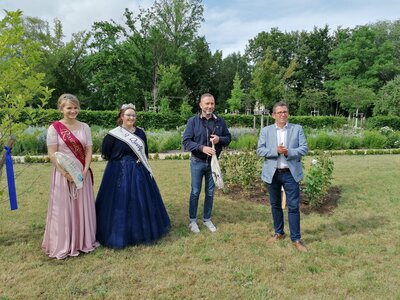 Foto des Albums: Pflanzung der 'Novalis-Rose' am 20.06.2022 anlässlich der Novalis-Festwoche in Bad Tennstedt