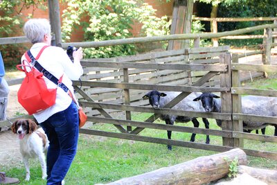 Foto des Albums: Tag des offenen Hofes Lüneburg