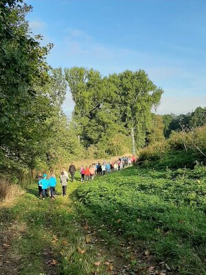 Foto des Albums: Herbstcrosslauf