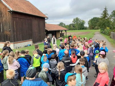 Foto des Albums: Herbstcrosslauf