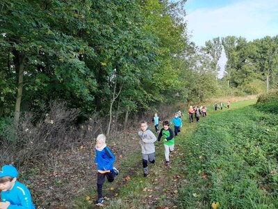 Foto des Albums: Herbstcrosslauf