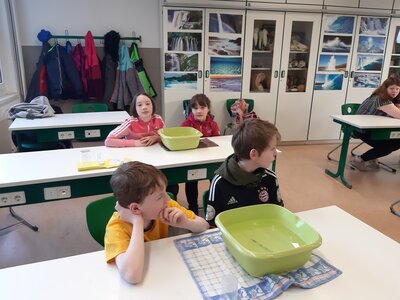 Foto des Albums: Tag der offenen Tür