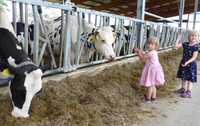 Foto des Albums: Tag des offenen Hofes in Lomitz