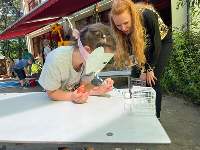 Foto des Albums: Sommerfest 2022