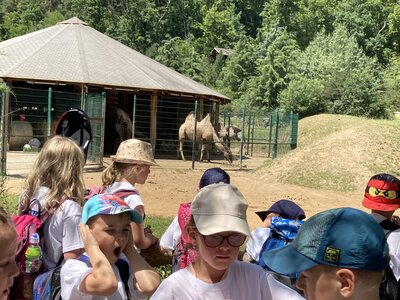 Foto des Albums: Besuch im Pilsener Zoo mit den Partnerschulen (21. 06. 2022)