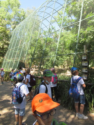 Foto des Albums: Besuch im Pilsener Zoo mit den Partnerschulen (21. 06. 2022)