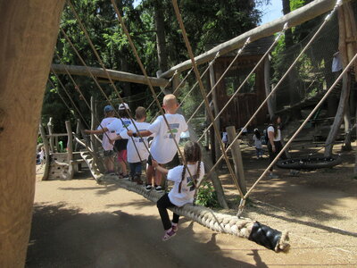 Foto des Albums: Besuch im Pilsener Zoo mit den Partnerschulen (21. 06. 2022)