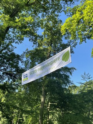 Foto des Albums: Waldjugendspiele 2022