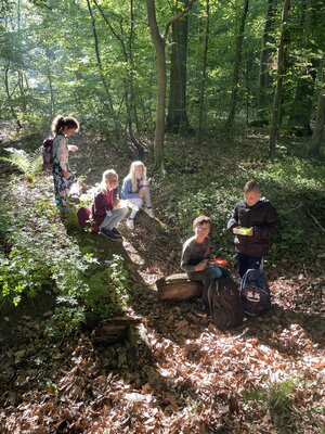 Foto des Albums: Waldjugendspiele 2022