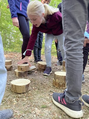 Foto des Albums: Waldjugendspiele 2022