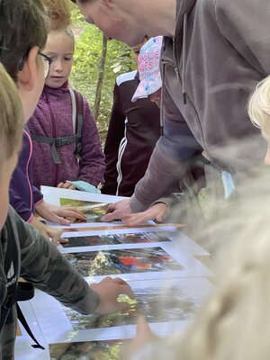 Foto des Albums: Waldjugendspiele 2022