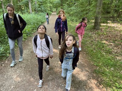 Foto des Albums: Waldjugendspiele 2022