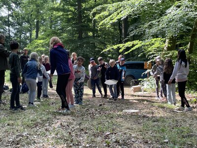 Foto des Albums: Waldjugendspiele 2022