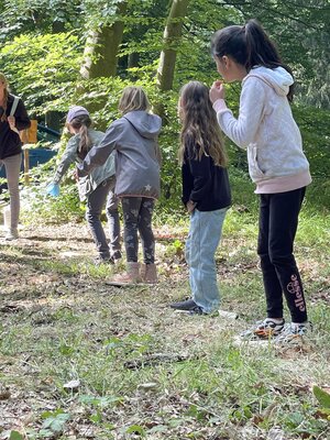 Foto des Albums: Waldjugendspiele 2022