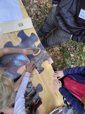 Foto des Albums: Waldjugendspiele 2022