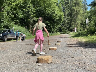 Foto des Albums: Waldjugendspiele 2022