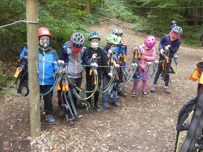 Foto des Albums: Kletterwald