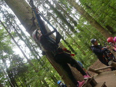 Foto des Albums: Kletterwald
