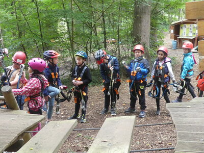 Foto des Albums: Kletterwald