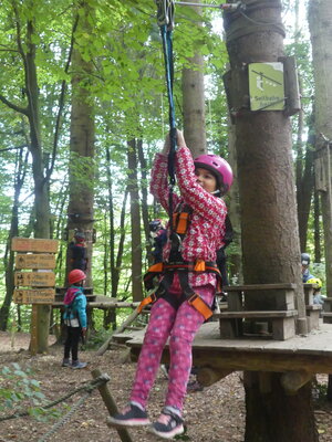 Foto des Albums: Kletterwald