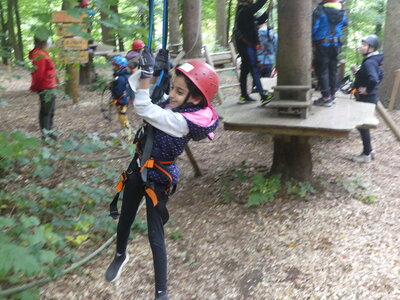 Foto des Albums: Kletterwald
