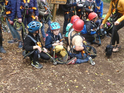 Foto des Albums: Kletterwald