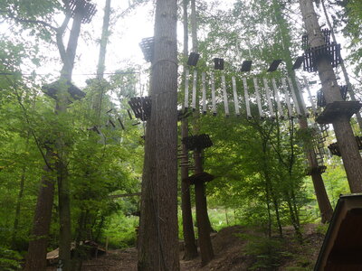 Foto des Albums: Kletterwald