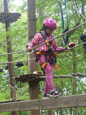 Foto des Albums: Kletterwald