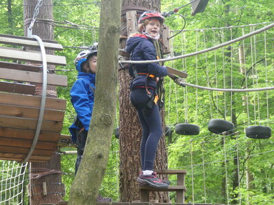 Foto des Albums: Kletterwald
