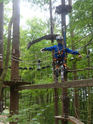 Foto des Albums: Kletterwald
