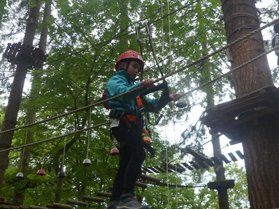 Foto des Albums: Kletterwald