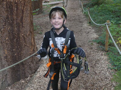 Foto des Albums: Kletterwald
