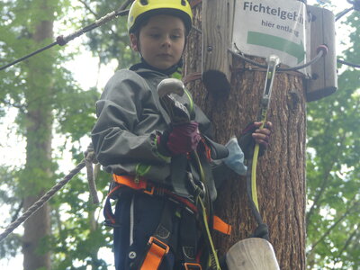Foto des Albums: Kletterwald