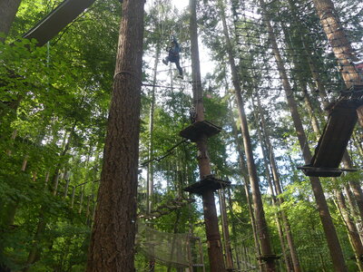 Foto des Albums: Kletterwald