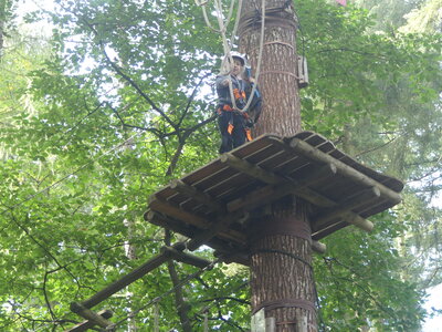 Foto des Albums: Kletterwald