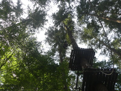 Foto des Albums: Kletterwald