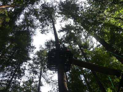 Foto des Albums: Kletterwald