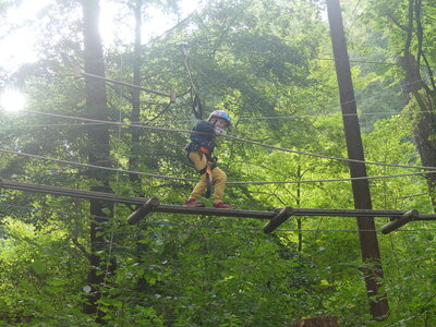 Foto des Albums: Kletterwald