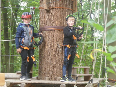 Foto des Albums: Kletterwald