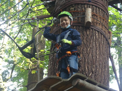 Foto des Albums: Kletterwald