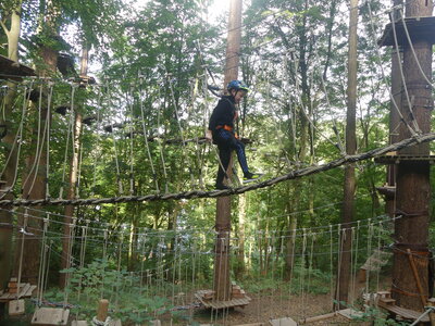 Foto des Albums: Kletterwald