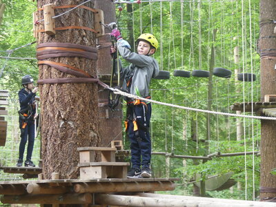 Foto des Albums: Kletterwald