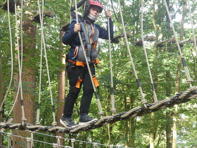 Foto des Albums: Kletterwald