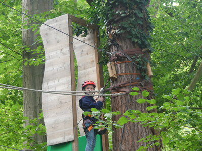 Foto des Albums: Kletterwald