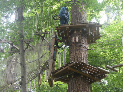 Foto des Albums: Kletterwald