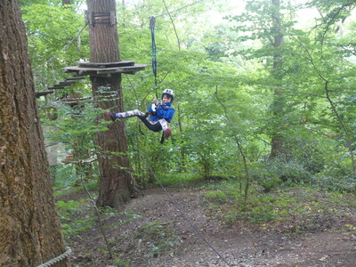 Foto des Albums: Kletterwald