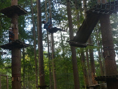 Foto des Albums: Kletterwald