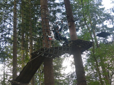 Foto des Albums: Kletterwald